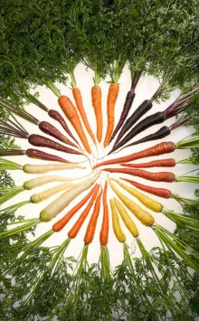 circle of carrots