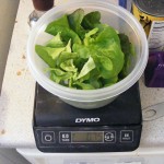 A nice garden salad from the cellar weighed in at 0.75 oz on a Dymo digital scale.