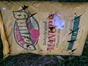 Bag of manure with x's cut into it